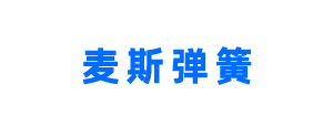 麦斯弹簧制造厂有限公司